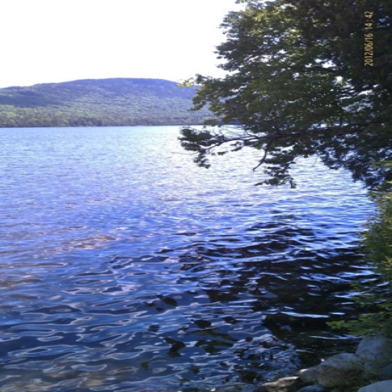 View along the shore